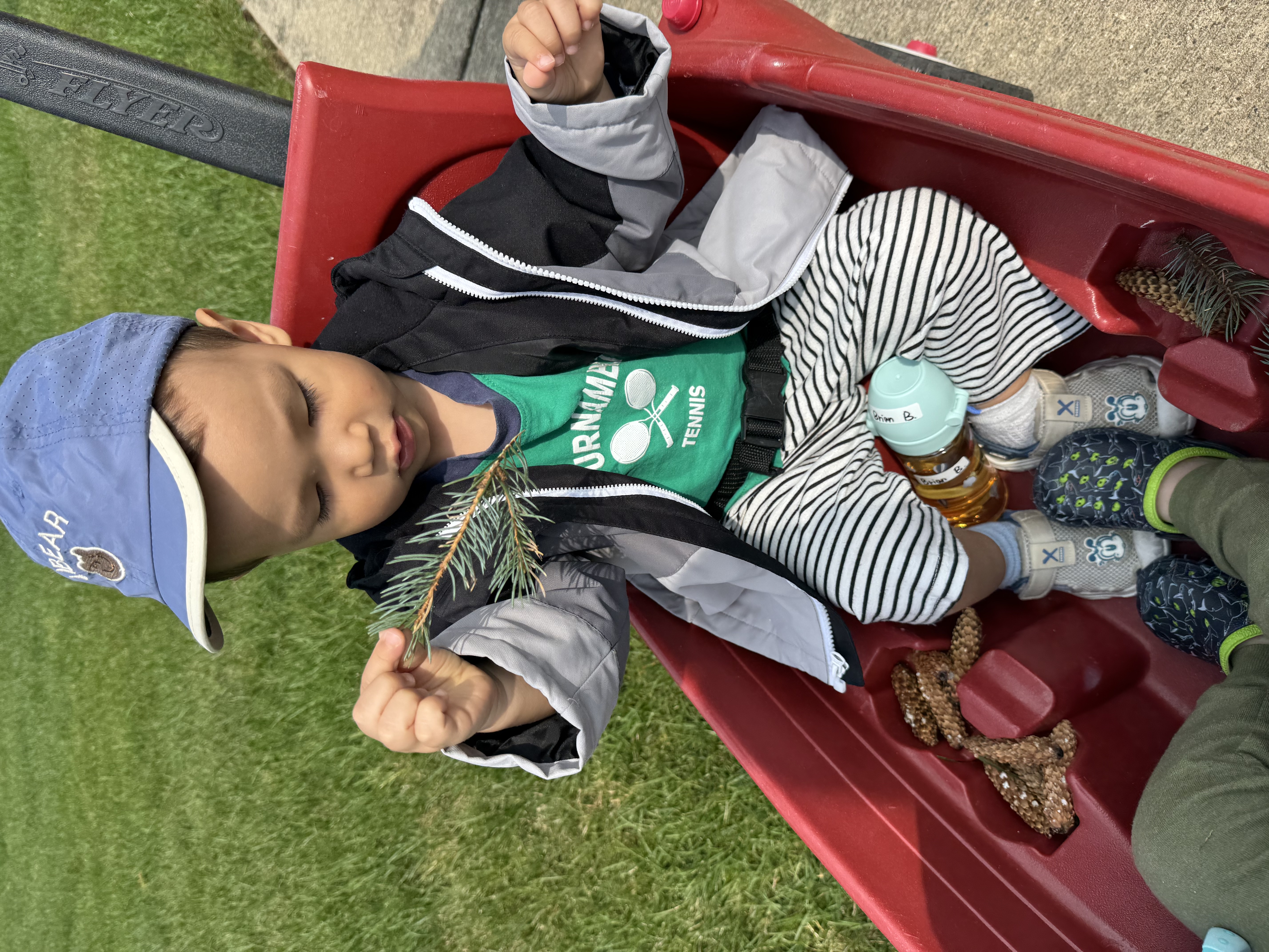 Child sitting in red wagon with pinecones in hand