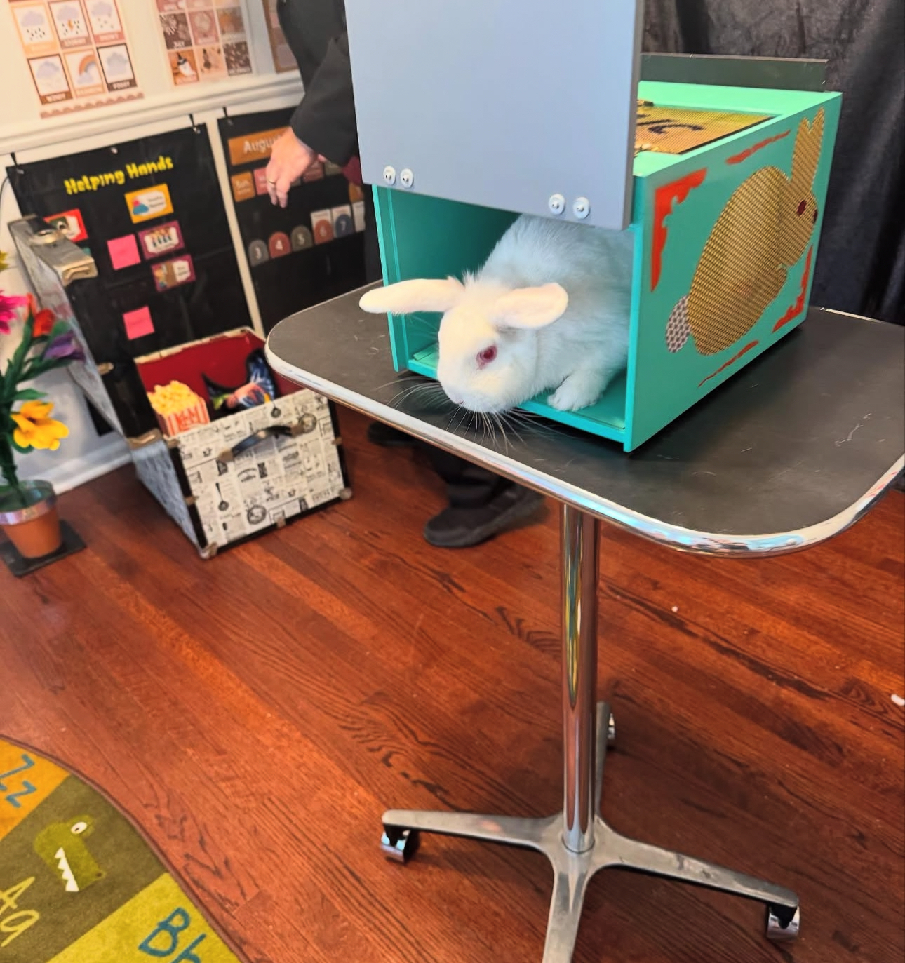 A white bunny in a box on a table